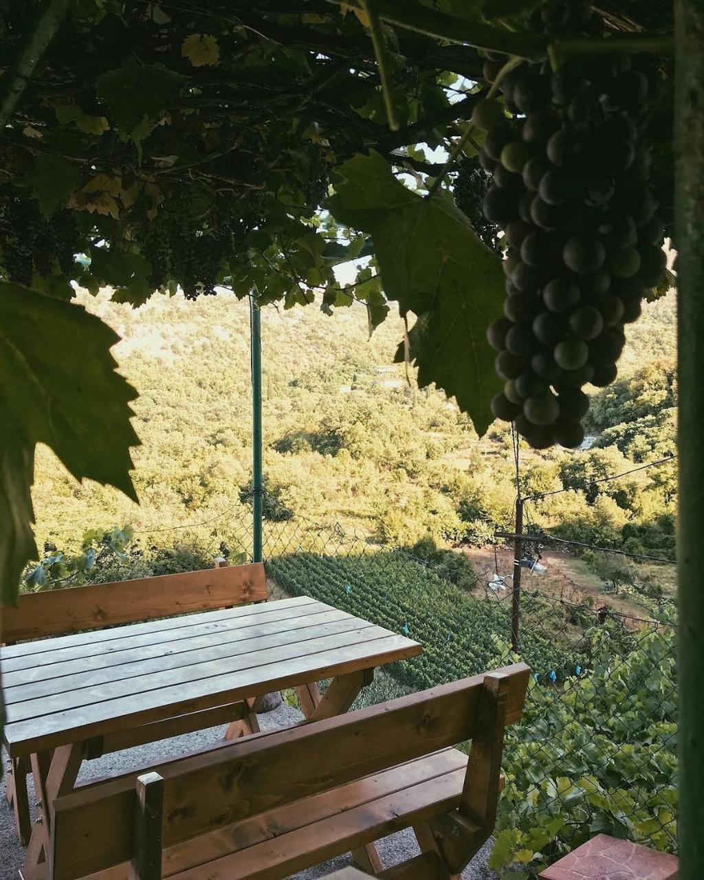 Apartments "Old House Pajovic" Virpazar Εξωτερικό φωτογραφία